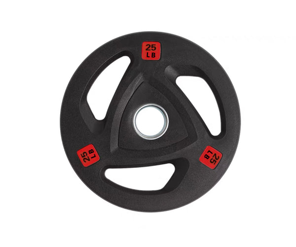 Load image into Gallery viewer, Weight Plates Pair - WP01