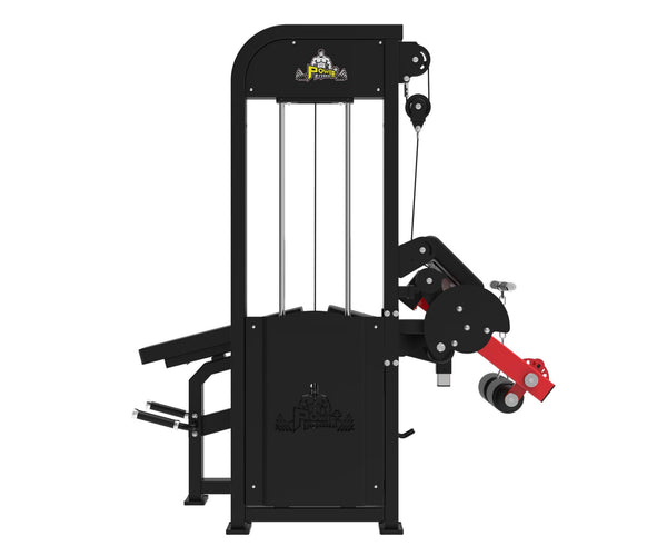 Load image into Gallery viewer, Seated Leg Curl / Extension / Lying Leg Curl / Preacher Curl (4 in 1 Combo) - LEP01