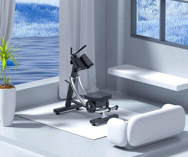 Load image into Gallery viewer, Abdominal Coaster - Demo Unit (Pickup - Toronto Downtown)