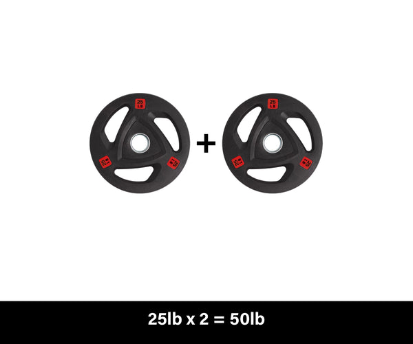 Load image into Gallery viewer, WEIGHT PLATE - WP01